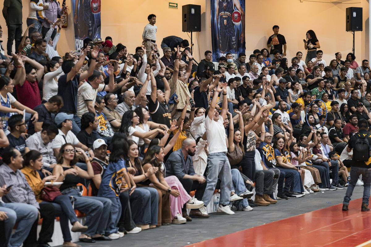 La afición celebra desde la tribuna